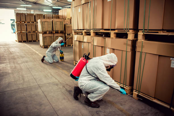 Best Pest Inspection Near Me  in Lake Lorelei, OH