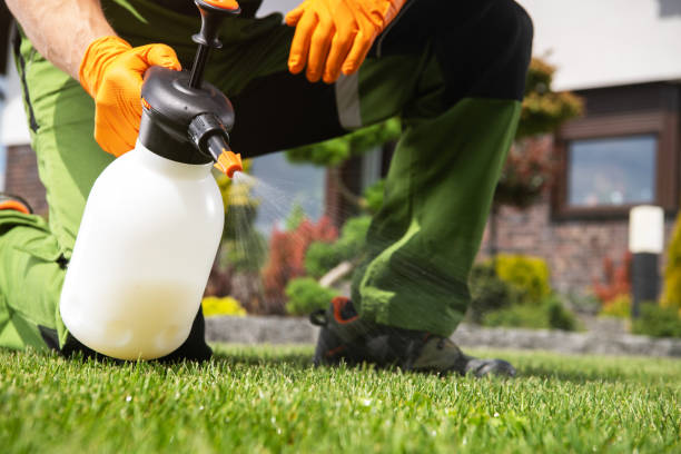 Best Cockroach Control Services  in Lake Lorelei, OH