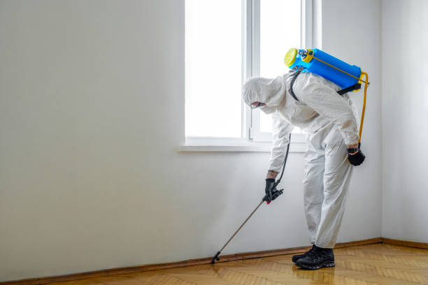 Best Flea Control Services  in Lake Lorelei, OH