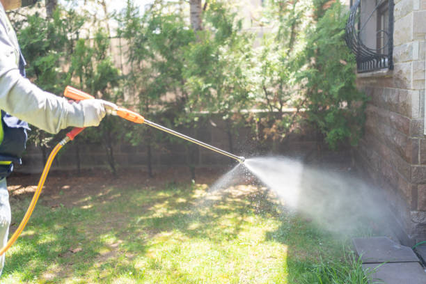 Best Affordable Pest Control Services  in Lake Lorelei, OH