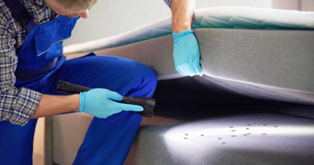Best Bed Bug Extermination  in Lake Lorelei, OH