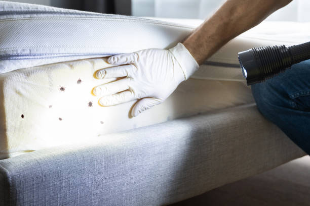 Best Commercial Pest Control Services  in Lake Lorelei, OH