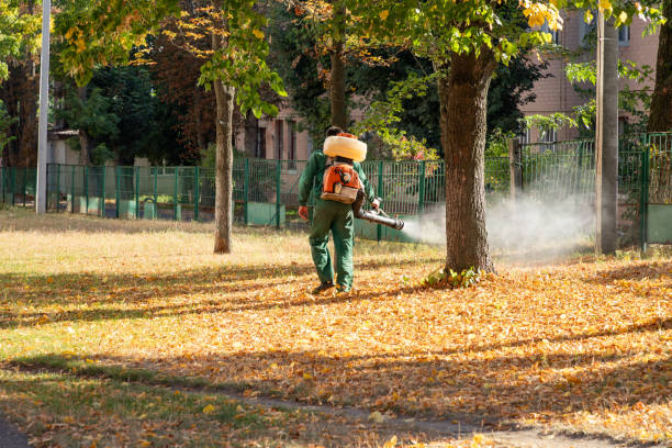 Best Termite Control Services  in Lake Lorelei, OH
