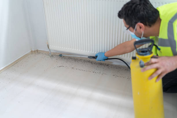 Best Commercial Pest Control Services  in Lake Lorelei, OH