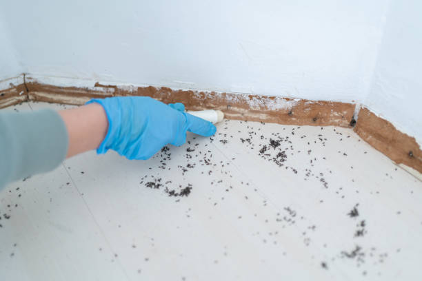 Best Pest Prevention Services  in Lake Lorelei, OH